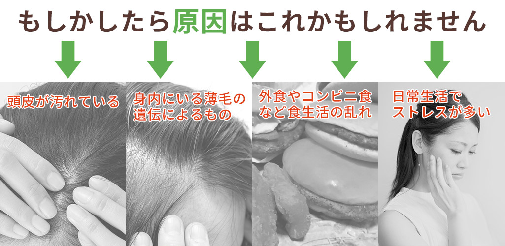 薄毛の原因はこれかもしれません